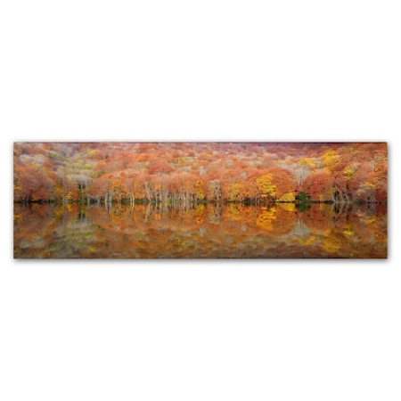 Sho Shibata 'Glowing Autumn' Canvas Art,10x32